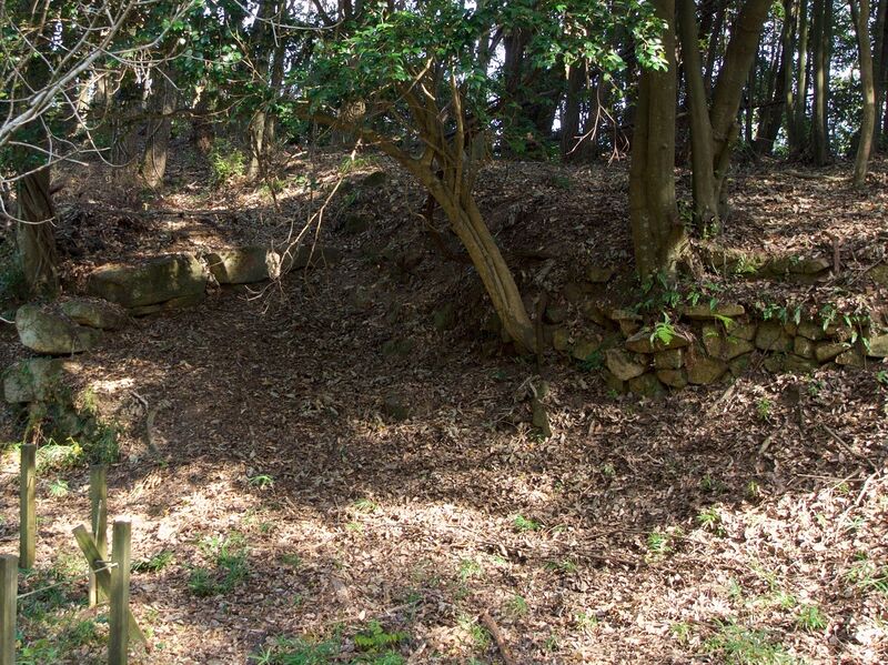 File:Niitakayama53.jpg