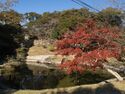 Sumoto44.jpg