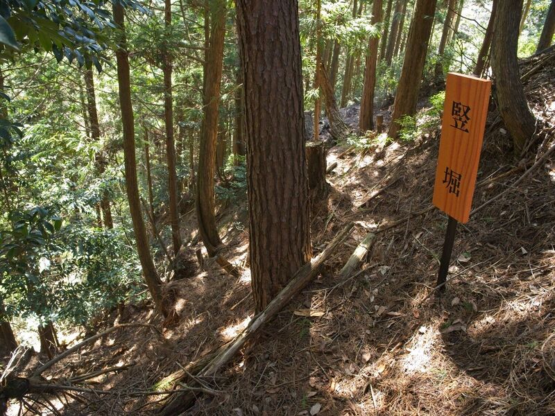 File:Takaokoka9.jpg