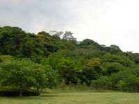 Tateyamachiba7.jpg