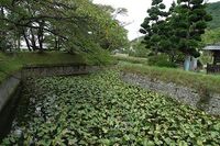 Tatsuoka6.jpg