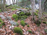 Tawadajou (3).JPG