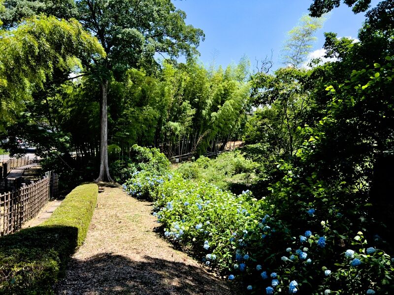 File:Akayamajinya15.jpg