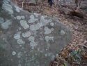 Heda quarry71.jpg