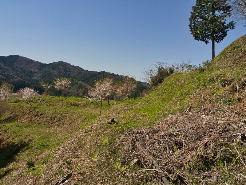 File:Kanbayashi30.jpg