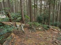 Kannosankyoto18.jpg