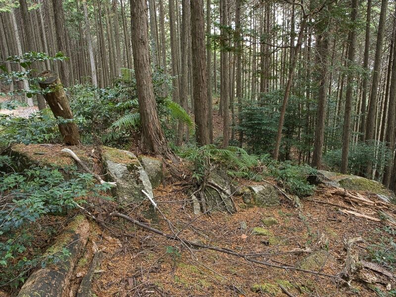 File:Kannosankyoto18.jpg