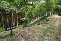 Kazurayama26.jpg