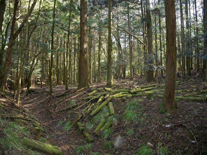 File:Kurokawashi26.jpg