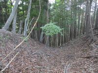 MaruyamaKoyajou (2).JPG