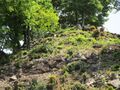 Thumbnail for version as of 04:08, 11 June 2021