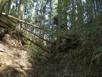 Ogawanakanokoka12.jpg