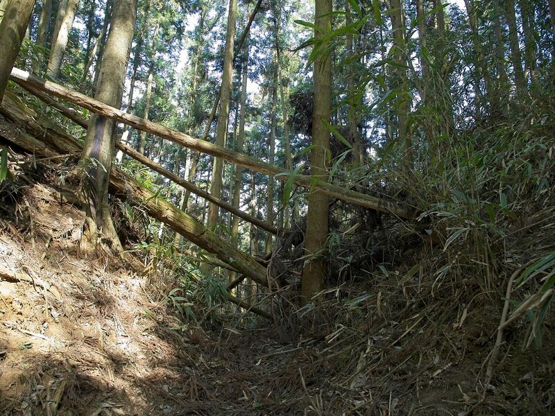 File:Ogawanakanokoka12.jpg