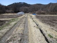 SuwaMasugatajou (1).JPG