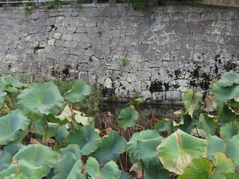 File:TsukikumajouART (10).jpg