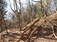 山吹大城09terracing.JPG