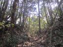 Daitajou (8).jpg