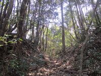 Daitajou (8).jpg