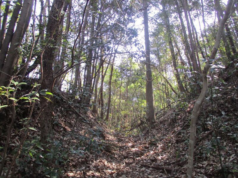 File:Daitajou (8).jpg