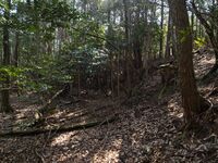 Higashimaruokakoka10.jpg