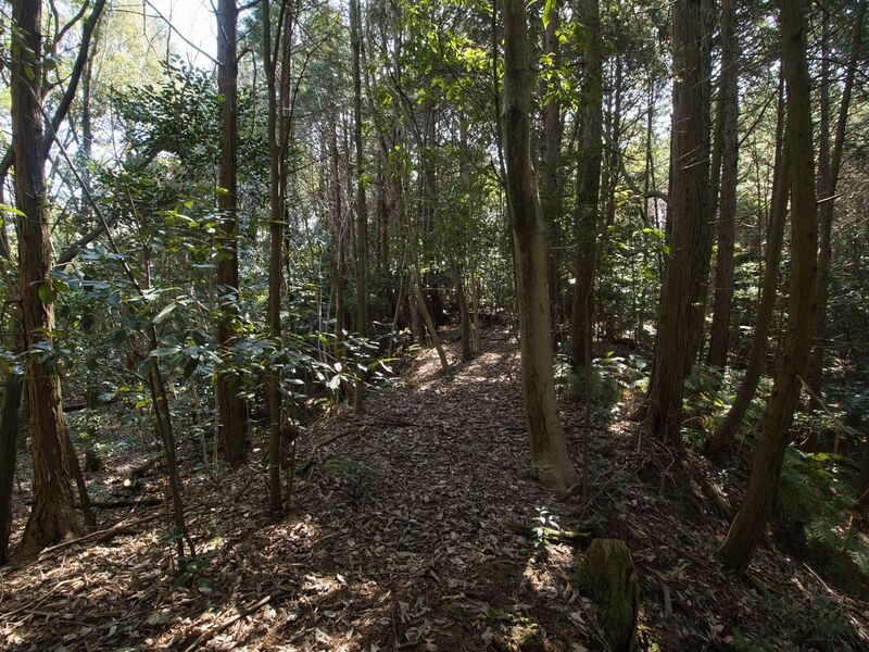 File:Higashimaruokakoka9.jpg