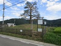 HiraideB (8).JPG