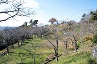 Ishinomaki1.jpg