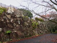 Kamei19.jpg
