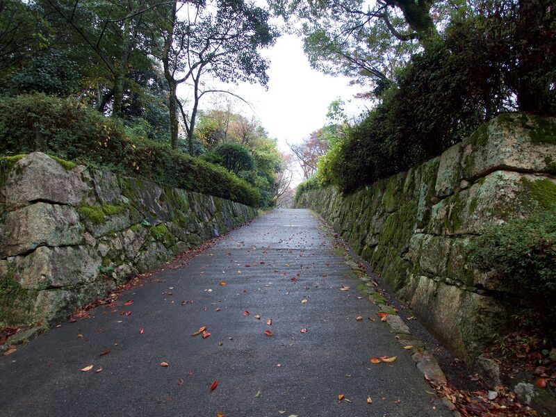 File:Kamei4.jpg