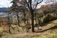 Matsuyamagunma10.jpg