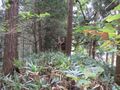 Thumbnail for version as of 22:03, 19 October 2021