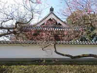 MitojouKoudoukanA024.jpg