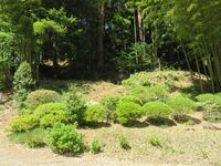 Myogi (3).JPG