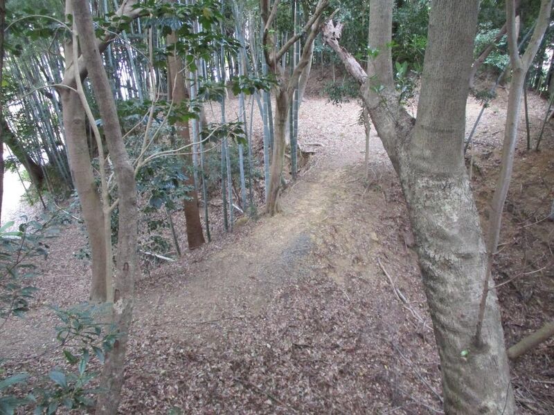File:Sakujou050.jpg
