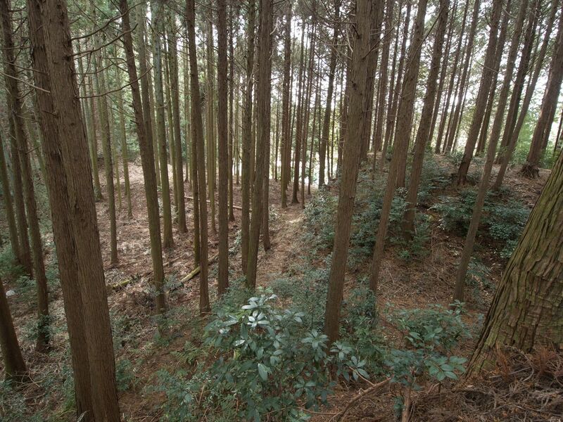 File:Wadakoka21.jpg