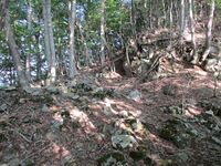 ChikumaSuzuryuuyamaToride (2).JPG