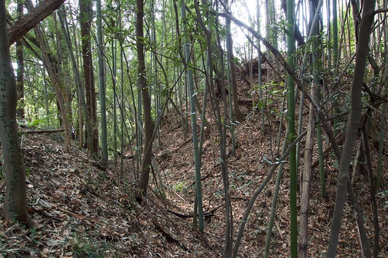 File:Isobe23.jpg