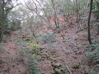 IwakunijouART (5).JPG