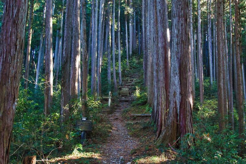 File:Karakai14.jpg