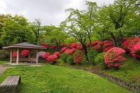 Kubota29.jpg