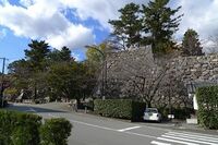 Matsusaka32.jpg