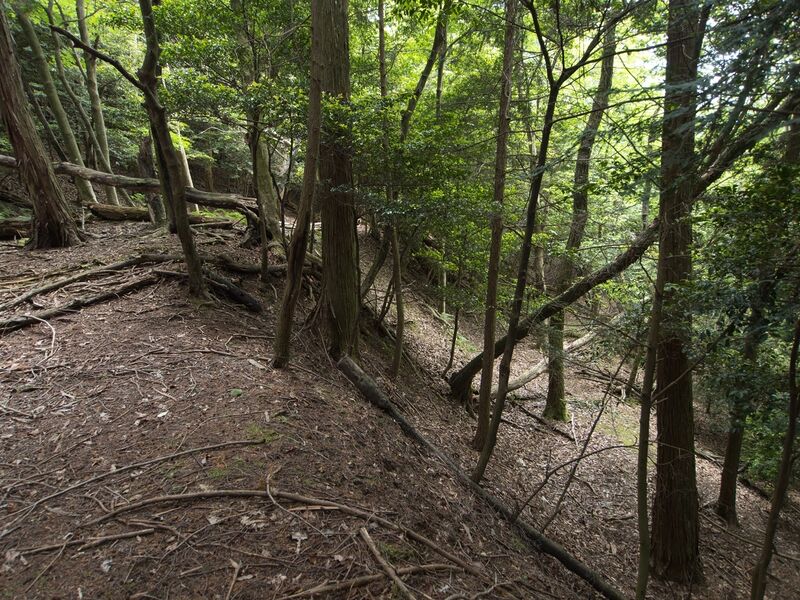 File:Nyoigatake24.jpg