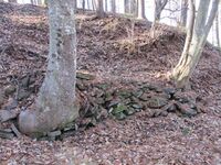 SakuTaguchijouA (19).JPG