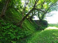 Torigoejô(ninomaru dorui-karabori).JPG