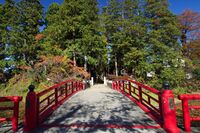 Yonezawa19.jpg