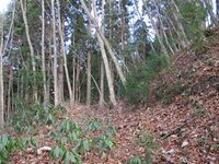 AzumiMikkaichibajou (40).JPG