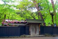Iwahashi1.jpg