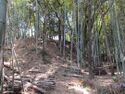 Iwazujou (21).jpg