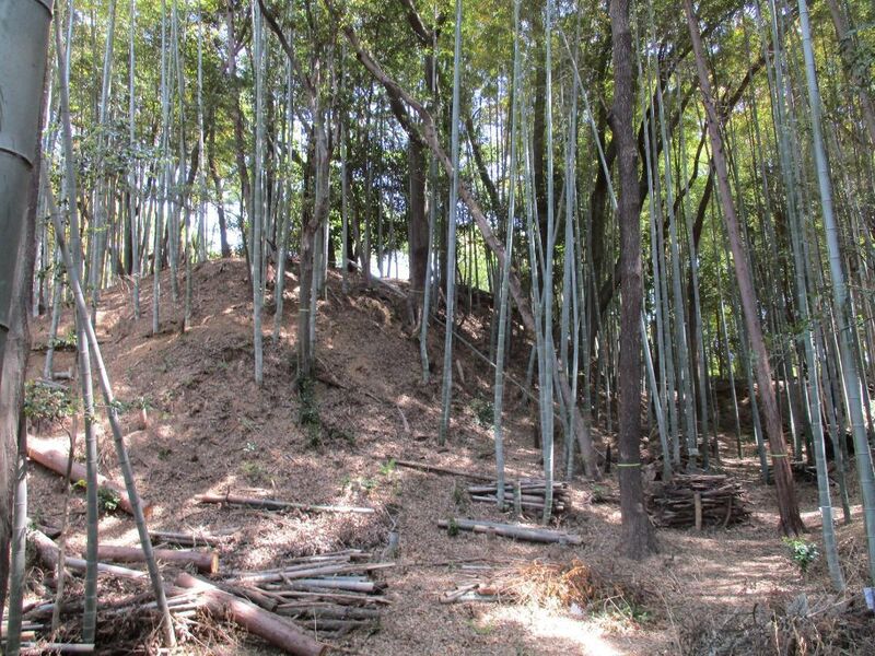 File:Iwazujou (21).jpg