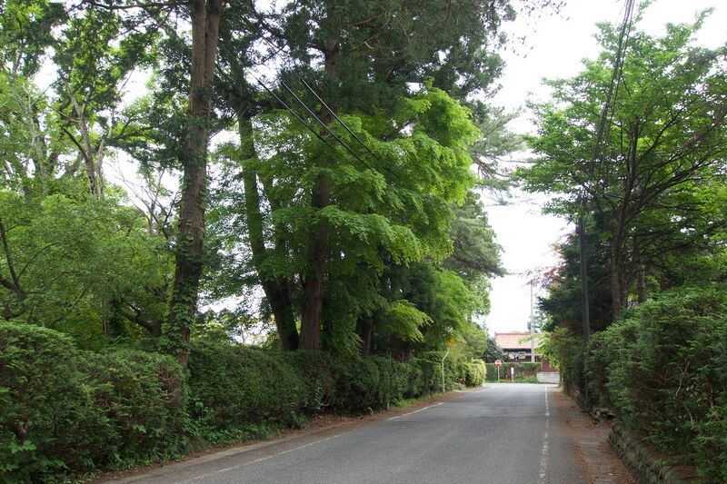 File:Kanegasaki4.jpg
